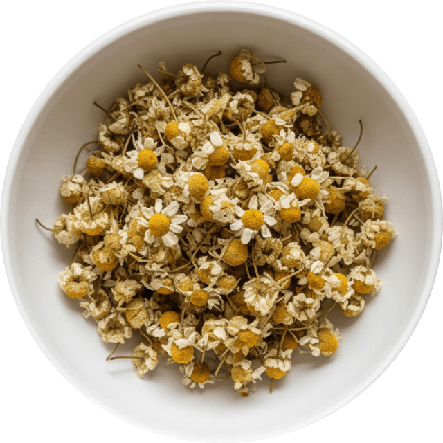 Chamomile Extract