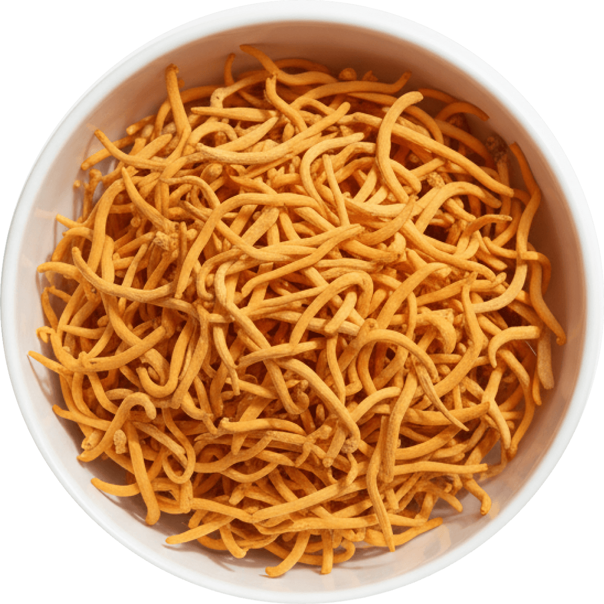 Cordyceps Mushroom Extract